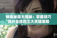 销售秘籍大揭秘：掌握技巧提升业绩的三大关键策略
