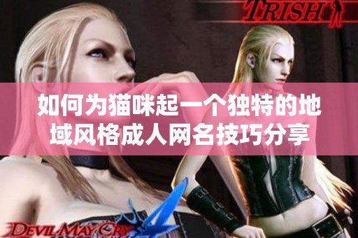 如何为猫咪起一个独特的地域风格成人网名技巧分享