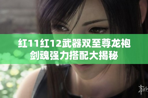 红11红12武器双至尊龙袍剑魂强力搭配大揭秘