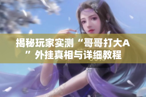 揭秘玩家实测“哥哥打大A”外挂真相与详细教程