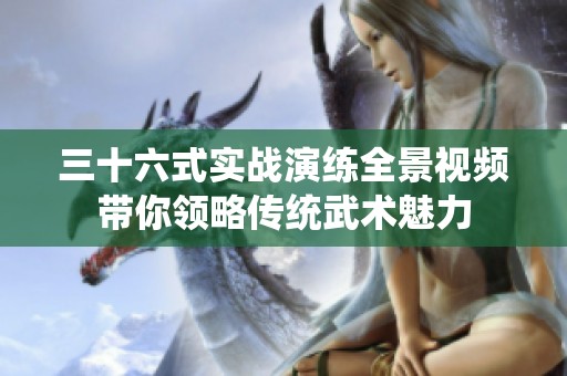 三十六式实战演练全景视频带你领略传统武术魅力