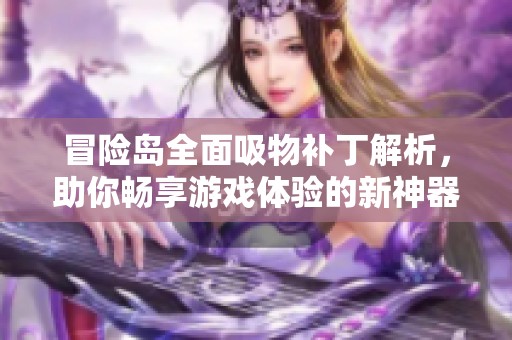 冒险岛全面吸物补丁解析，助你畅享游戏体验的新神器
