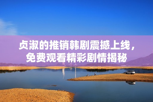 贞淑的推销韩剧震撼上线，免费观看精彩剧情揭秘