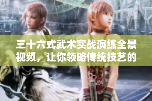 三十六式武术实战演练全景视频，让你领略传统技艺的魅力