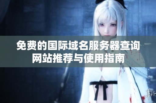 免费的国际域名服务器查询网站推荐与使用指南