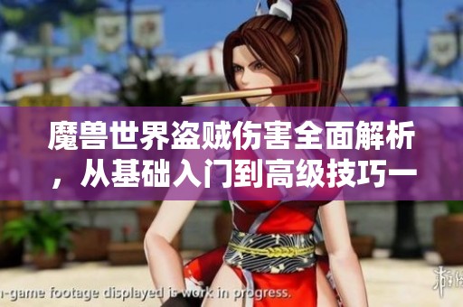 魔兽世界盗贼伤害全面解析，从基础入门到高级技巧一网打尽
