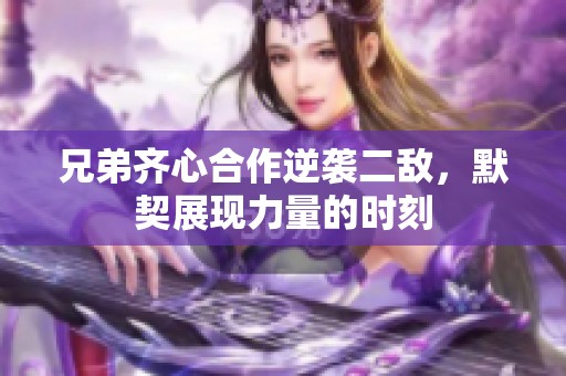 兄弟齐心合作逆袭二敌，默契展现力量的时刻