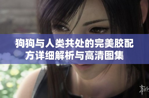 狗狗与人类共处的完美胶配方详细解析与高清图集