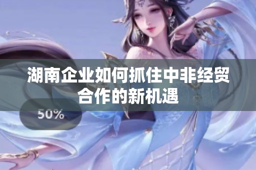 湖南企业如何抓住中非经贸合作的新机遇