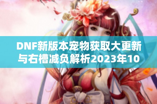 DNF新版本宠物获取大更新与右槽减负解析2023年10月26日