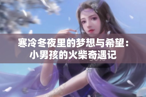 寒冷冬夜里的梦想与希望：小男孩的火柴奇遇记