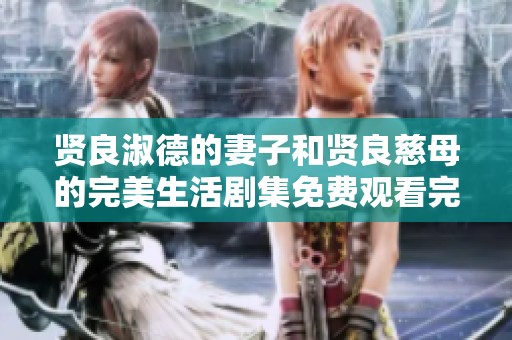 贤良淑德的妻子和贤良慈母的完美生活剧集免费观看完整版