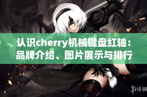 认识cherry机械键盘红轴：品牌介绍、图片展示与排行榜分析