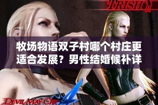 牧场物语双子村哪个村庄更适合发展？男性结婚候补详解