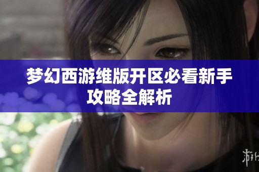 梦幻西游维版开区必看新手攻略全解析