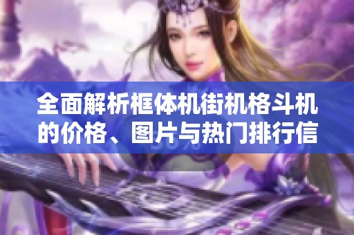 全面解析框体机街机格斗机的价格、图片与热门排行信息