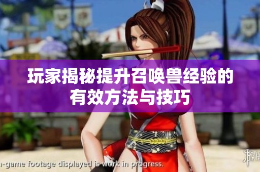 玩家揭秘提升召唤兽经验的有效方法与技巧