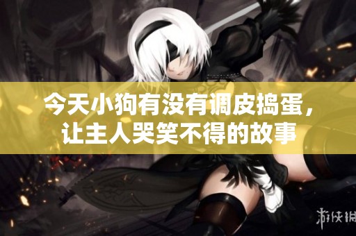 今天小狗有没有调皮捣蛋，让主人哭笑不得的故事