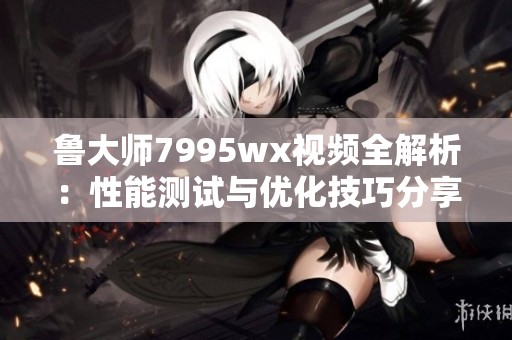 鲁大师7995wx视频全解析：性能测试与优化技巧分享