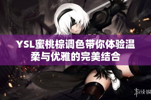 YSL蜜桃棕调色带你体验温柔与优雅的完美结合