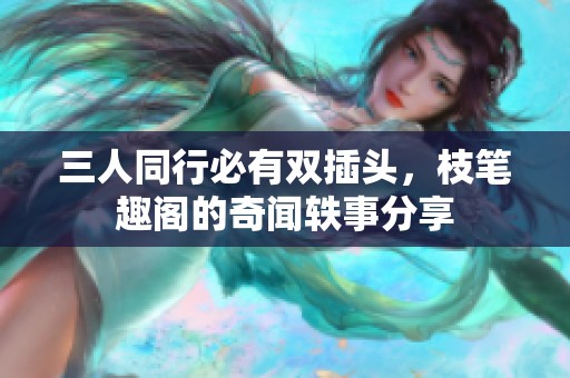 三人同行必有双插头，枝笔趣阁的奇闻轶事分享