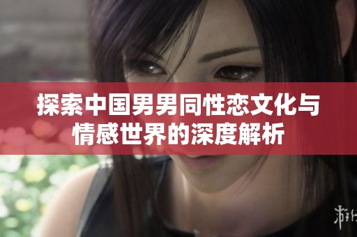 探索中国男男同性恋文化与情感世界的深度解析