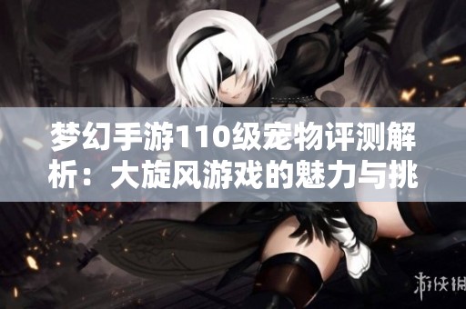 梦幻手游110级宠物评测解析：大旋风游戏的魅力与挑战