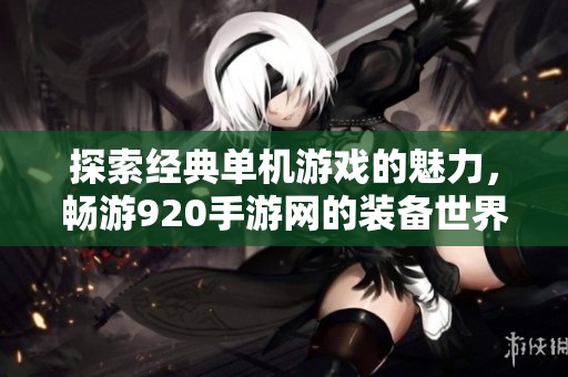 探索经典单机游戏的魅力，畅游920手游网的装备世界