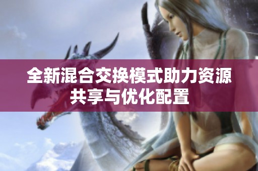 全新混合交换模式助力资源共享与优化配置