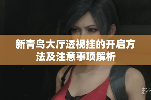 新青鸟大厅透视挂的开启方法及注意事项解析