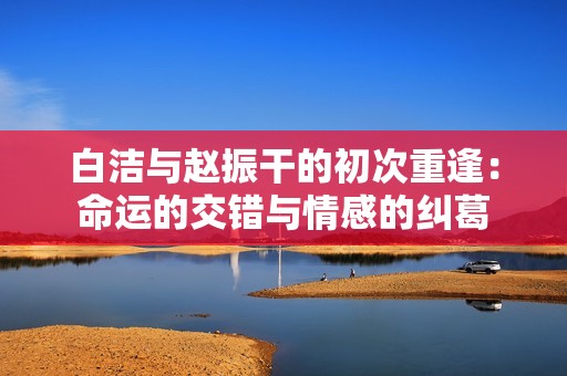 白洁与赵振干的初次重逢：命运的交错与情感的纠葛