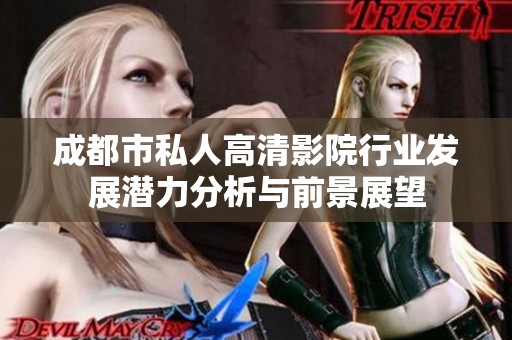 成都市私人高清影院行业发展潜力分析与前景展望