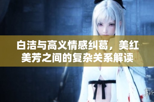 白洁与高义情感纠葛，美红美芳之间的复杂关系解读