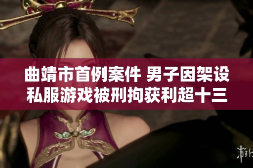 曲靖市首例案件 男子因架设私服游戏被刑拘获利超十三万元