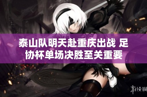 泰山队明天赴重庆出战 足协杯单场决胜至关重要