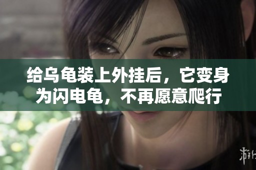给乌龟装上外挂后，它变身为闪电龟，不再愿意爬行