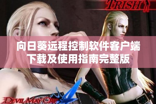 向日葵远程控制软件客户端下载及使用指南完整版