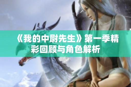《我的中尉先生》第一季精彩回顾与角色解析