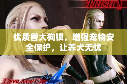 优质兽大狗锁，增强宠物安全保护，让养犬无忧