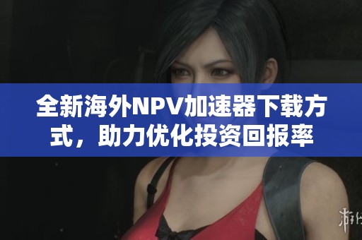 全新海外NPV加速器下载方式，助力优化投资回报率
