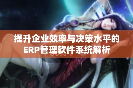 提升企业效率与决策水平的ERP管理软件系统解析