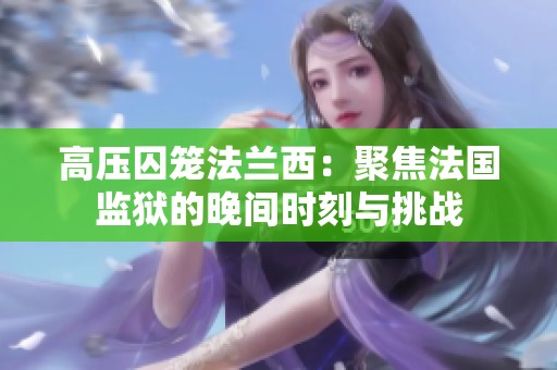 高压囚笼法兰西：聚焦法国监狱的晚间时刻与挑战