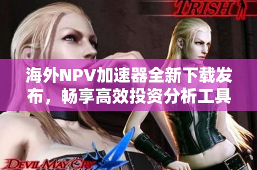 海外NPV加速器全新下载发布，畅享高效投资分析工具