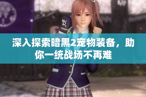 深入探索暗黑2宠物装备，助你一统战场不再难