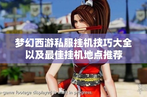 梦幻西游私服挂机技巧大全以及最佳挂机地点推荐