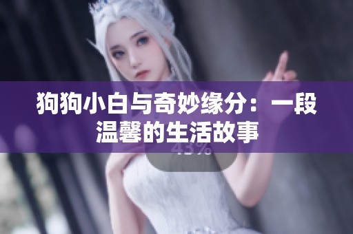狗狗小白与奇妙缘分：一段温馨的生活故事