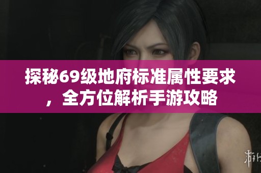 探秘69级地府标准属性要求，全方位解析手游攻略
