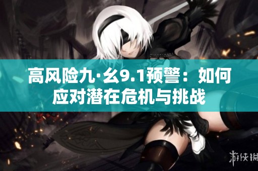 高风险九·幺9.1预警：如何应对潜在危机与挑战