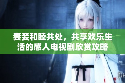 妻妾和睦共处，共享欢乐生活的感人电视剧欣赏攻略