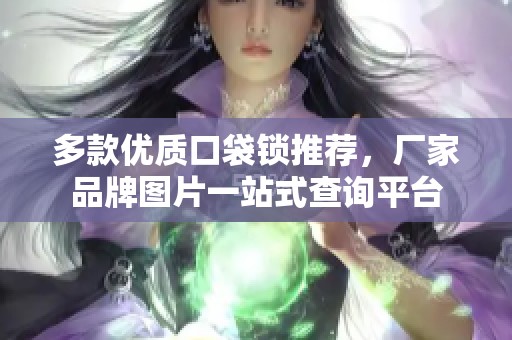 多款优质口袋锁推荐，厂家品牌图片一站式查询平台
